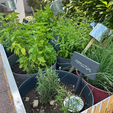 Campanile Nature - 3*