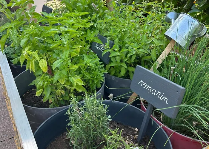 Campanile Nature - 3*